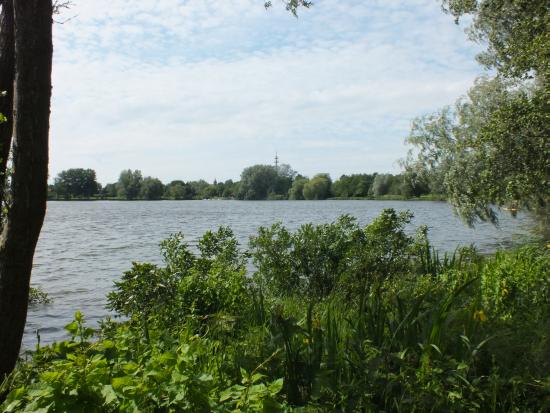 Bremervrde 4