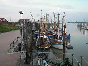 Ditzum 10
