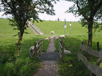 Ditzum 4