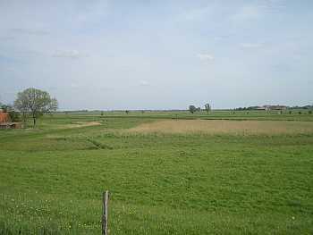 Ditzum 6