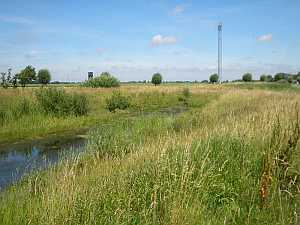 Gegend 1