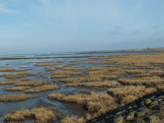 Wattenmeer