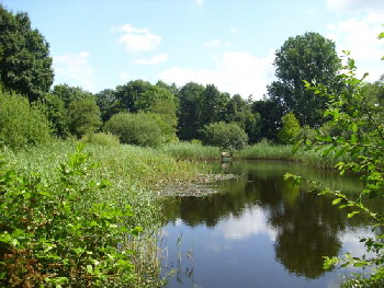 Idyll