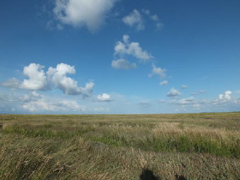 Ne 1