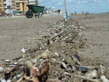 Strand fegen