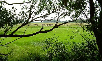 Weites Land 2
