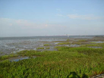 Weites Land