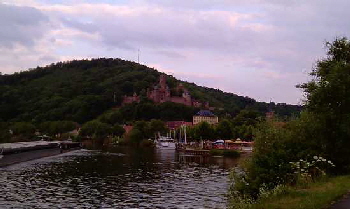 wertheim 2